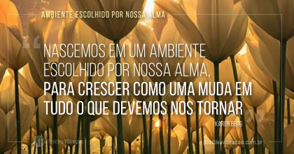 TNascemos em um ambiente escolhido por nossa alma. ~ Karen Berg