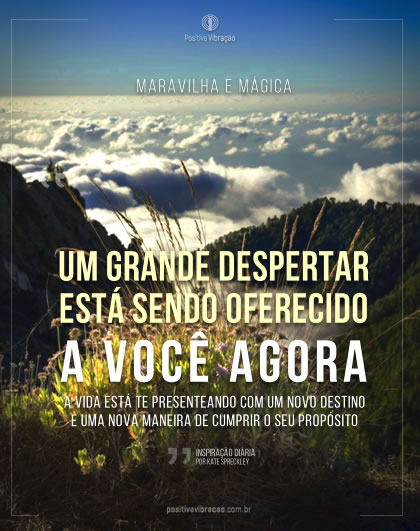 Inspiração Diária de Kate Spreckley